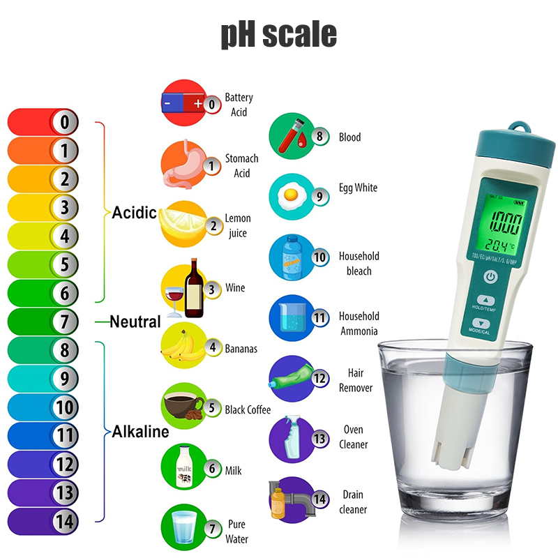 WESTTUNE Digital PH Meter 7 In - Ph Meter recension och pris